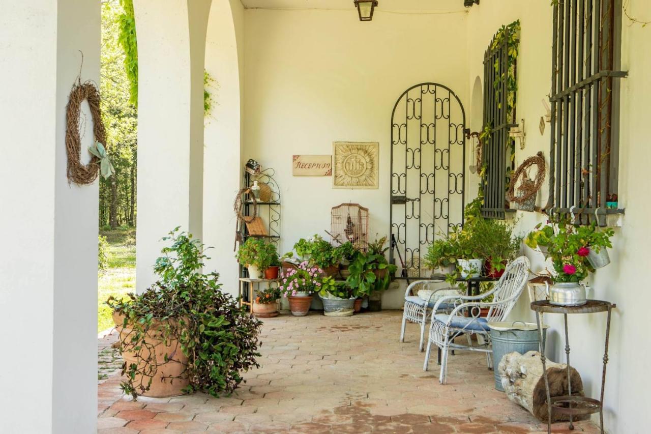 מוטספרטולי Villa Albertina מראה חיצוני תמונה